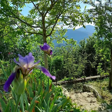 Arcadia Garden Retreat Akovos