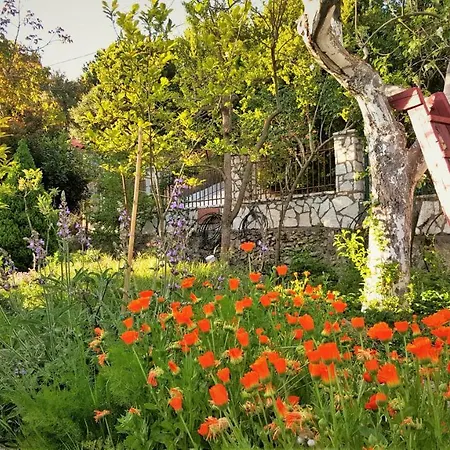 Arcadia Garden Retreat Дом отдыха Akovos